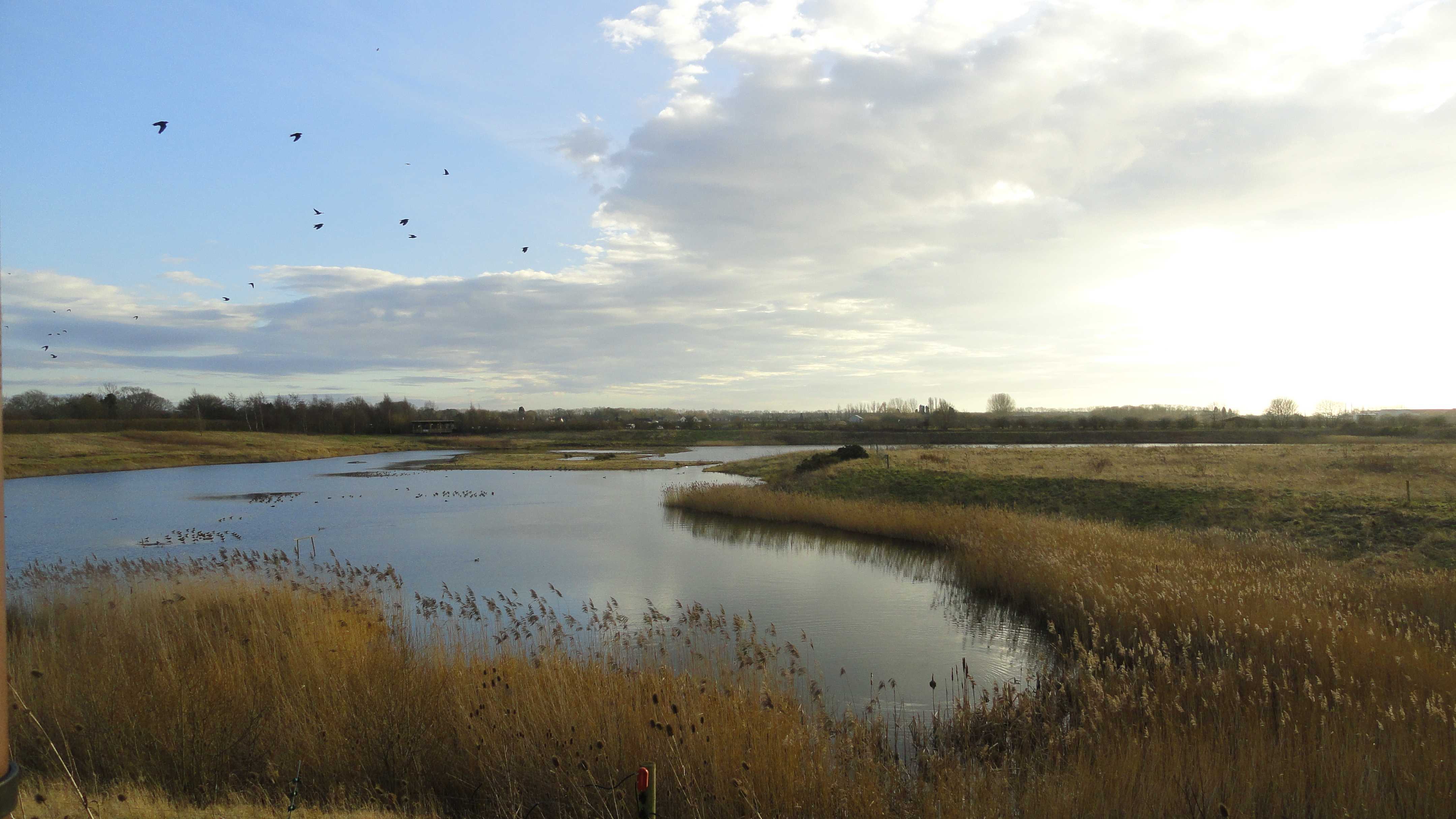 Photo of North Cave Wetlands during a site visit